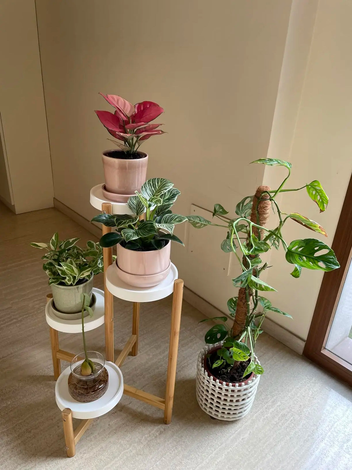 Wisfor Four Tier Bamboo Plant Stand Shelf Indoor Outdoor Display