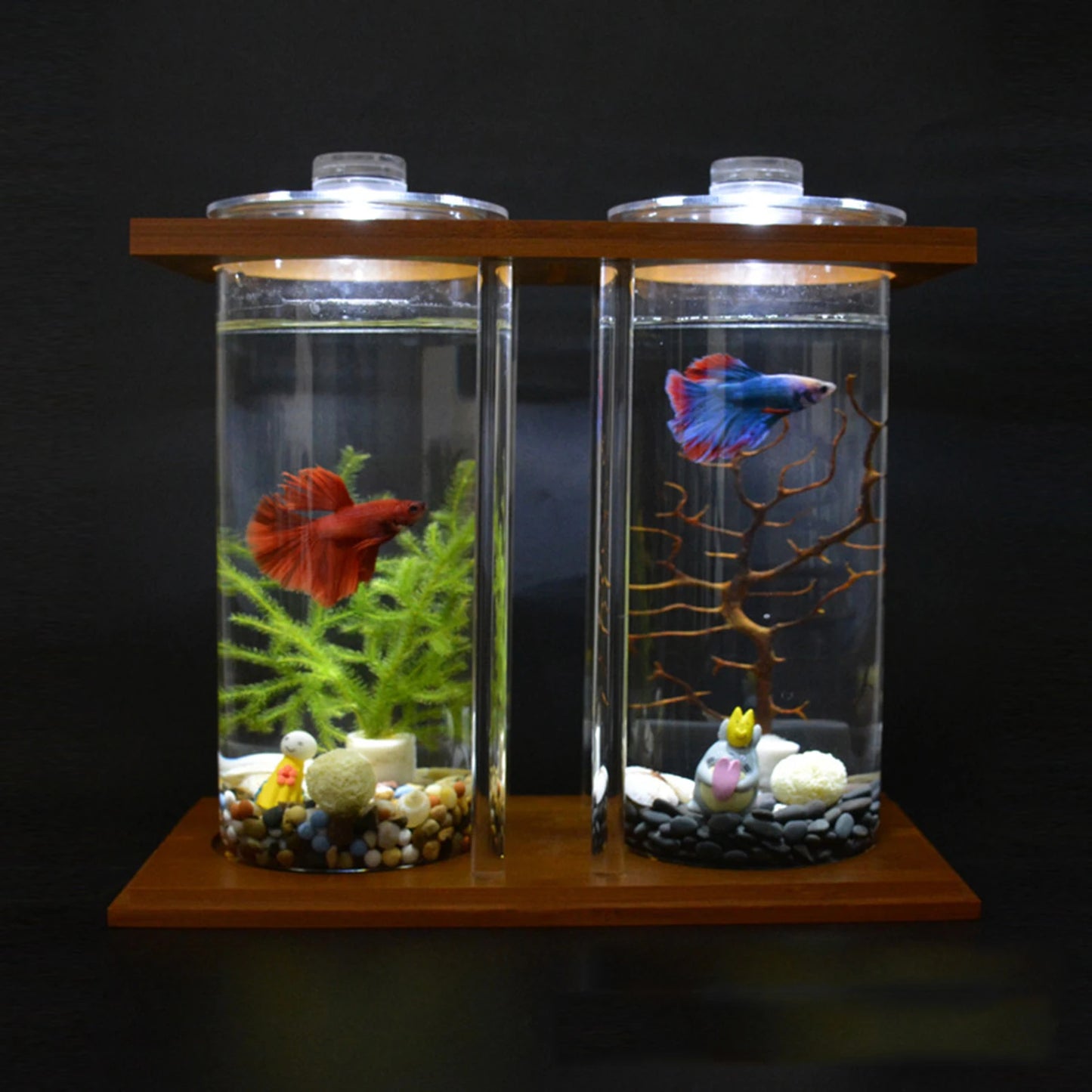 Dual Tank Bamboo Frame Desktop Aquarium With LED Lights