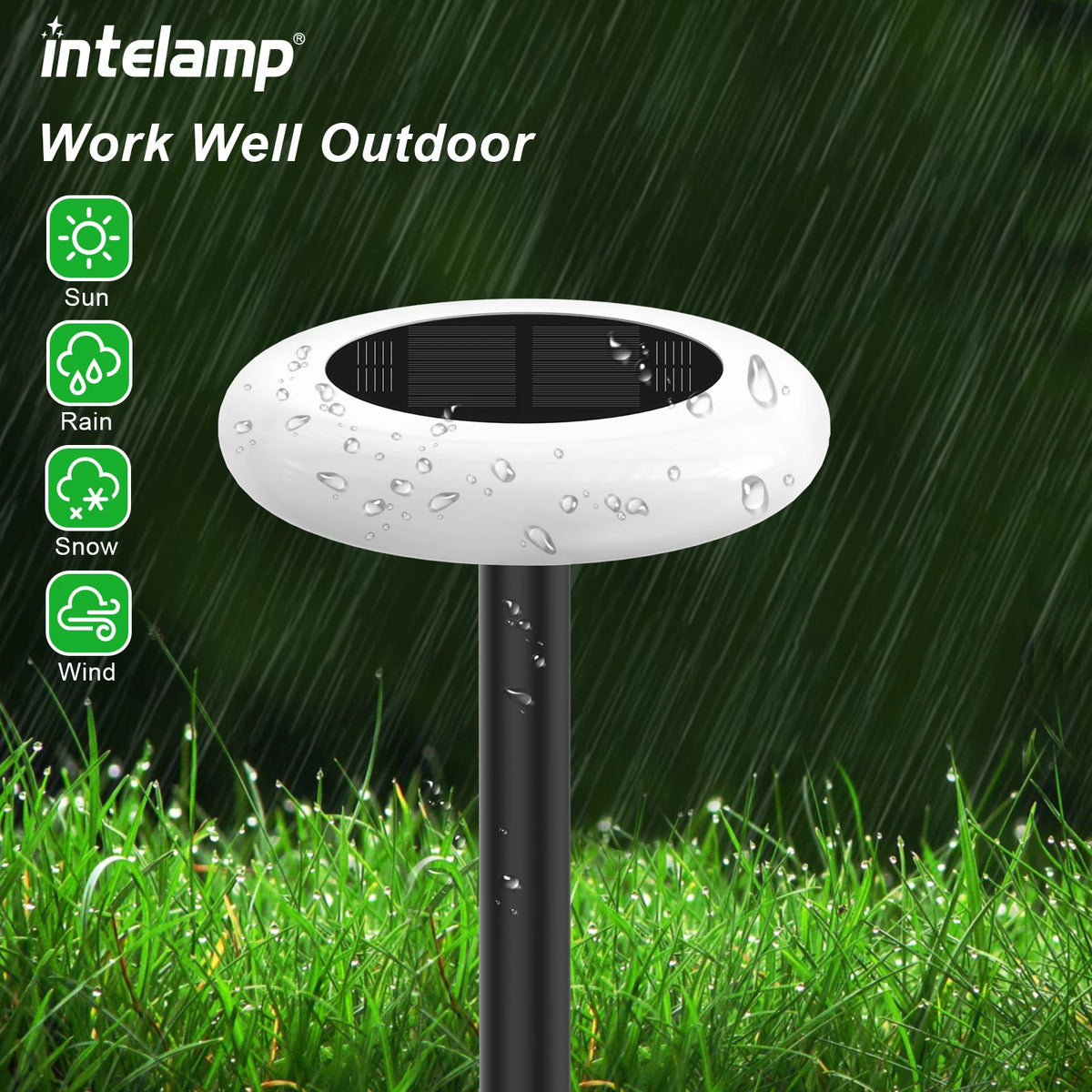 Intelamp Outdoor Solar Pathway Lights With Dusk To Dawn LED