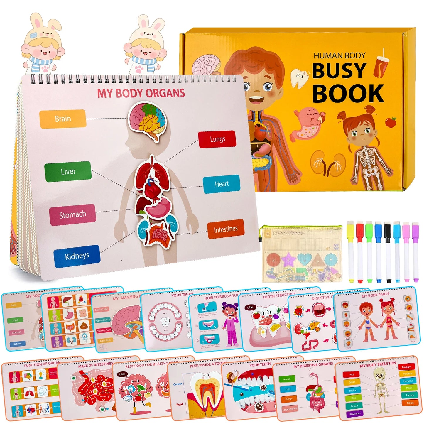 Busy Book for Kids Human Body Anatomy Learning Toy
