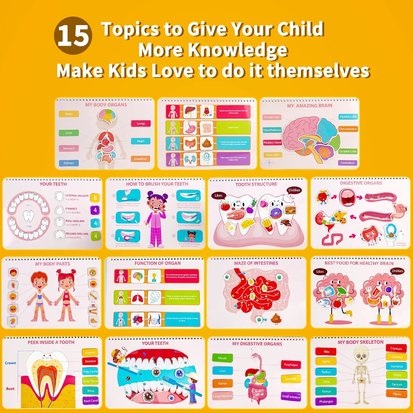 Busy Book for Kids Human Body Anatomy Learning Toy