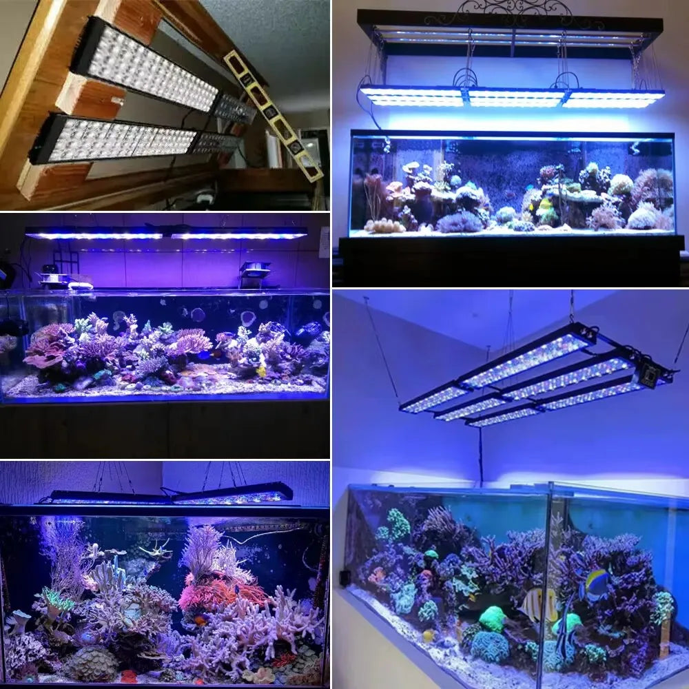 PopBloom WiFi LED Aquarium Light For Reef Marine Tanks