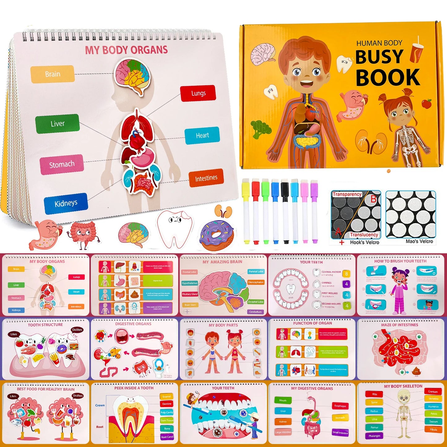 Busy Book for Kids Human Body Anatomy Learning Toy