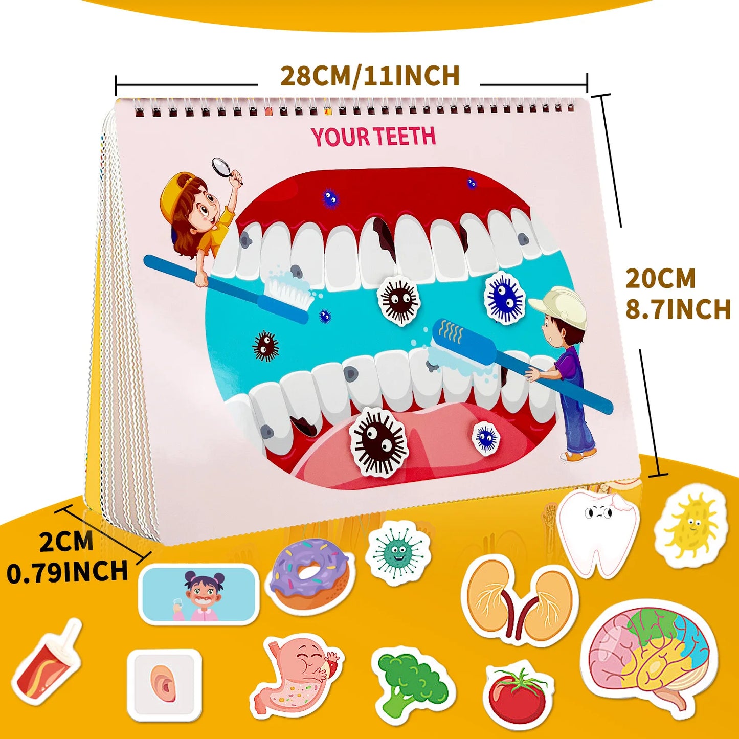 Busy Book for Kids Human Body Anatomy Learning Toy