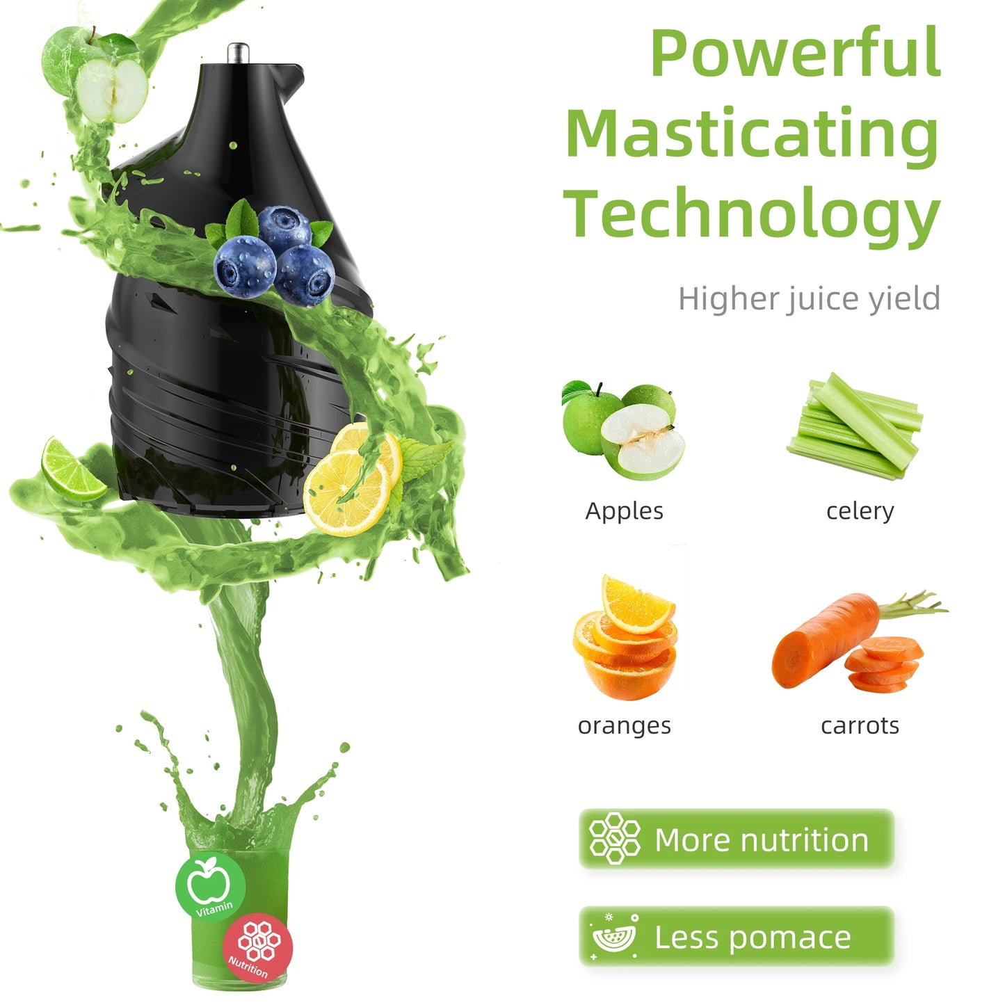 Biolomix Cold Press Juicer Slow Masticating For Whole Fruits